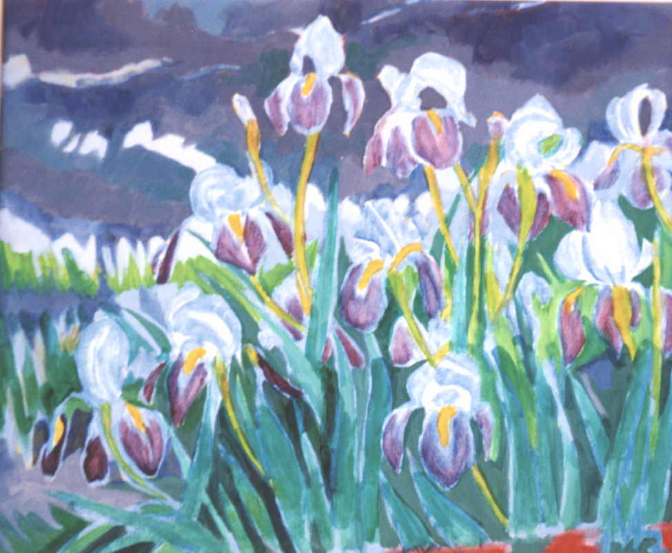 Iris 2003